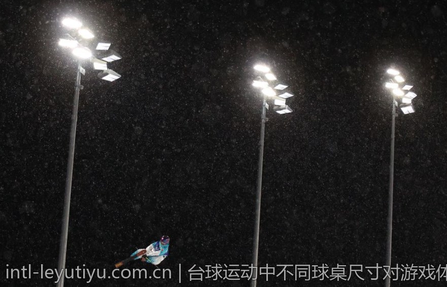 台球运动中不同球桌尺寸对游戏体验的影响