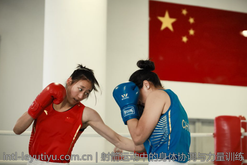 射箭运动中的身体协调与力量训练