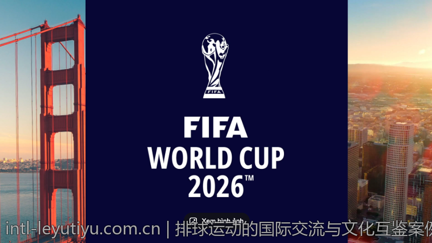 排球运动的国际交流与文化互鉴案例研究